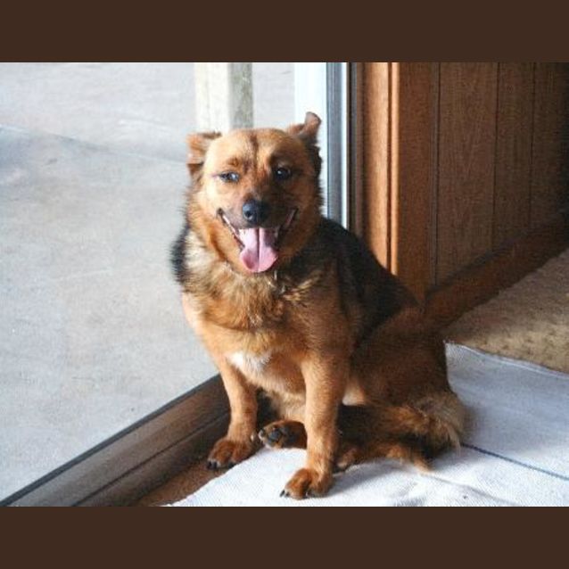 Photo of Choc