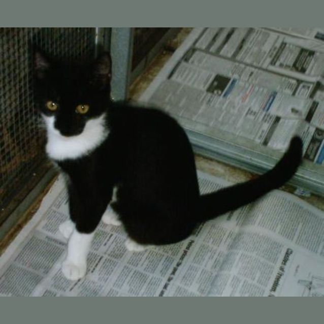 Photo of Pee Wee