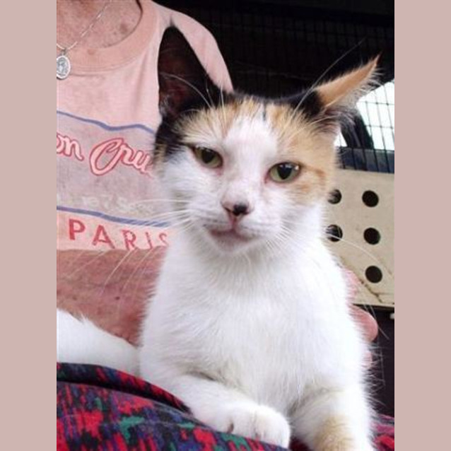 Photo of Cloe