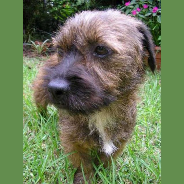 Photo of Roxy