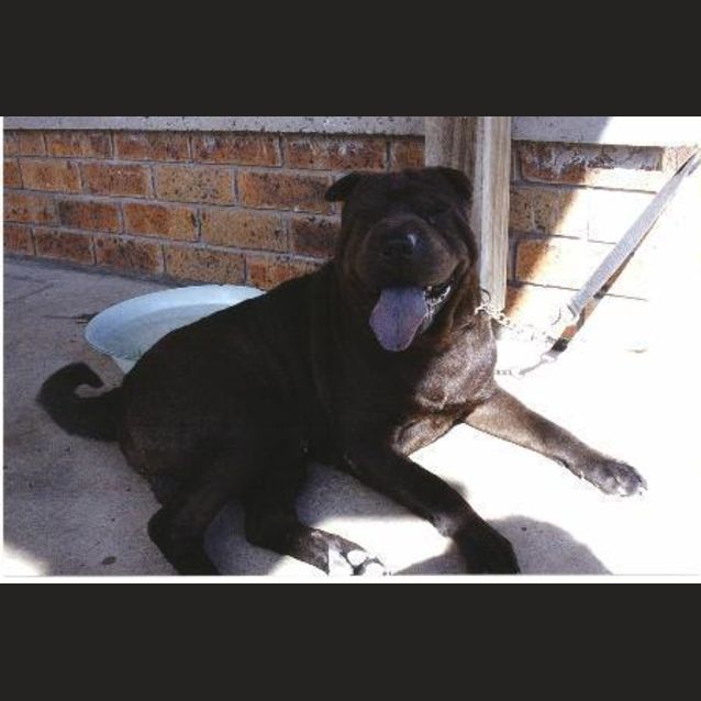 Photo of Willie