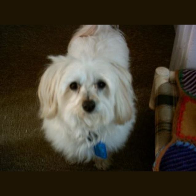 Photo of Maxi