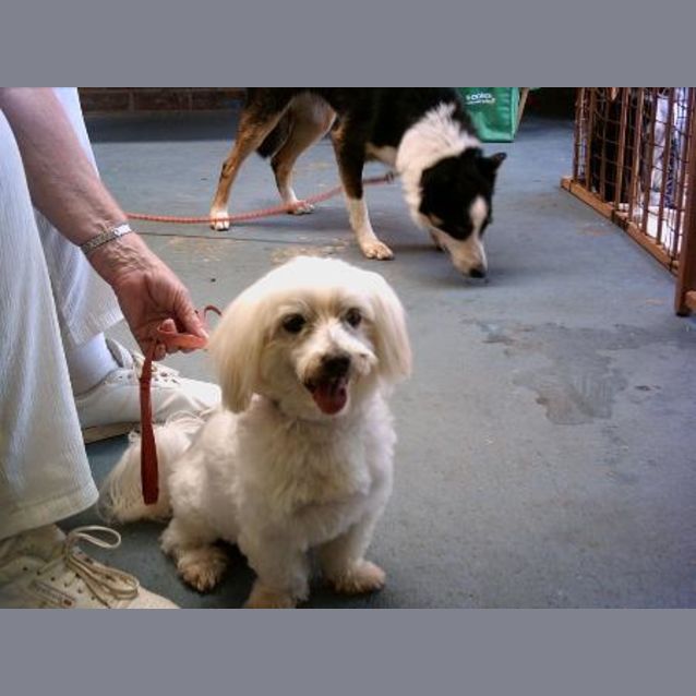 Photo of Floyd