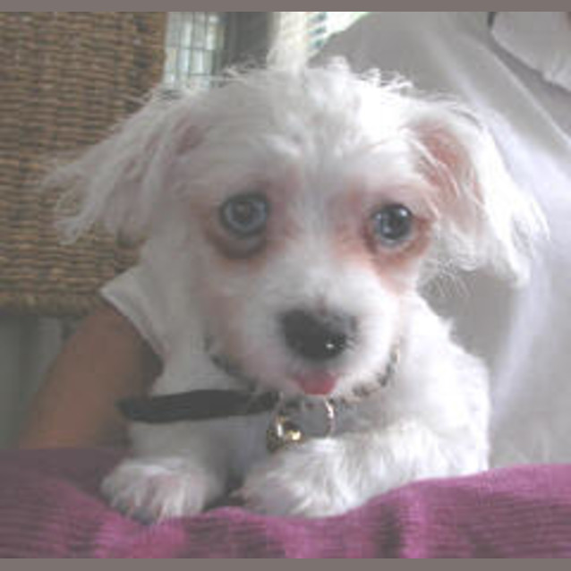 Photo of Alice