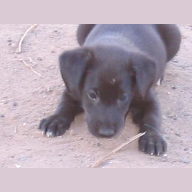 Photo of Brydie