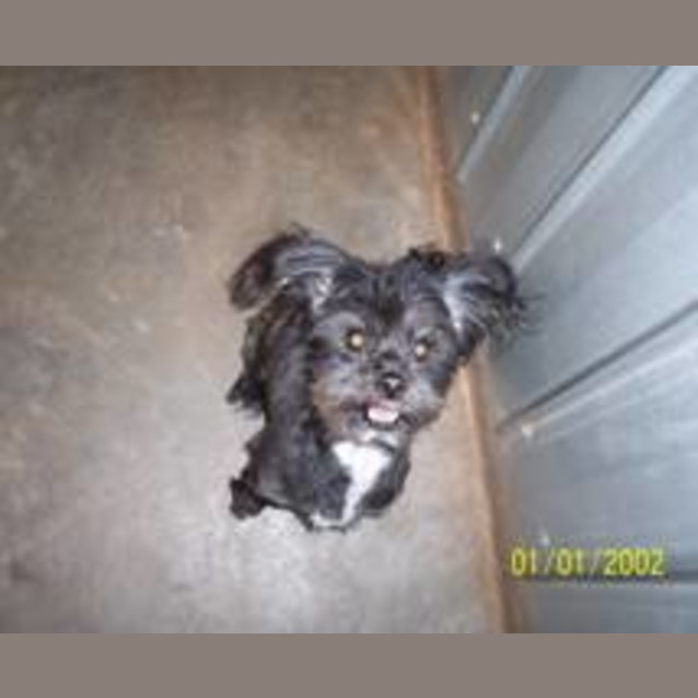 Photo of Mischief