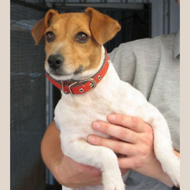 Photo of Dottie