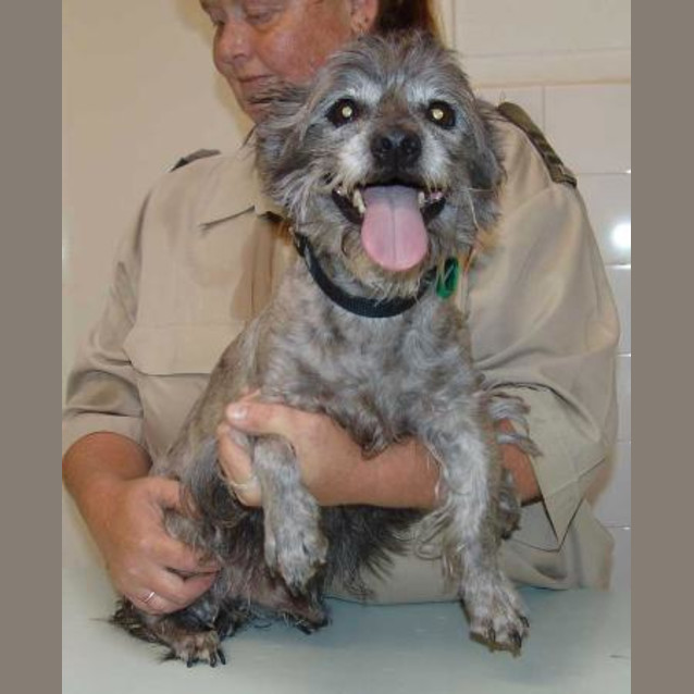 Photo of Benny