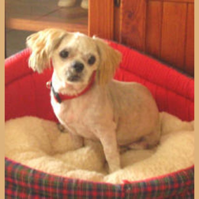 Photo of Isabelle