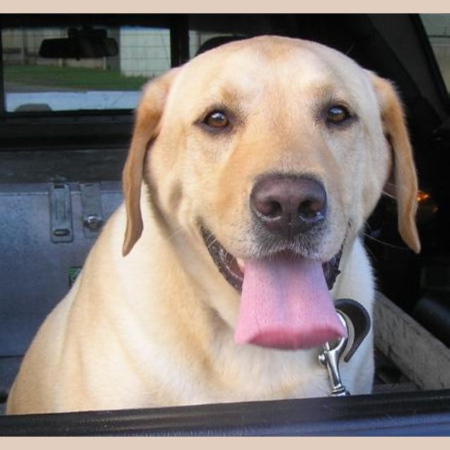 Photo of Max