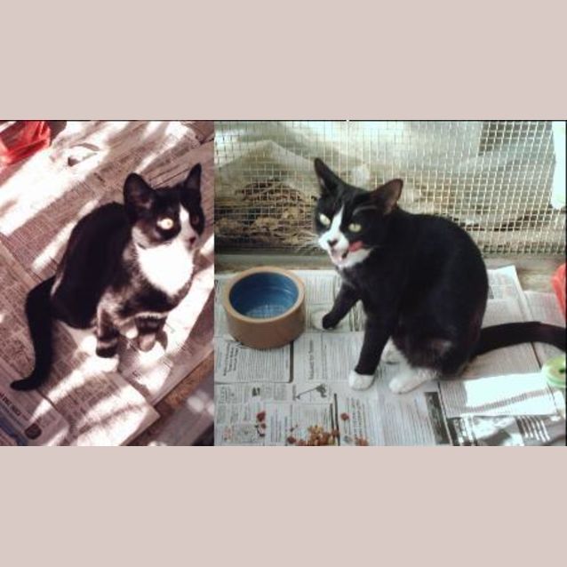 Photo of Eenie, Meenie & Miney