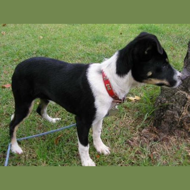 Photo of Tully