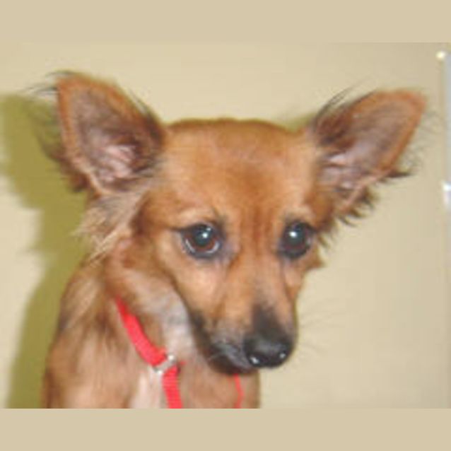 Photo of Simon
