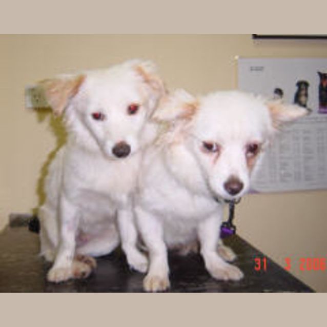 Photo of Sunkist & Vogel