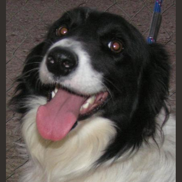 Photo of Zoe