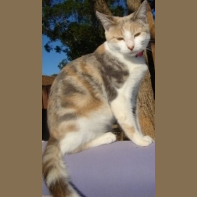 Photo of Thelma
