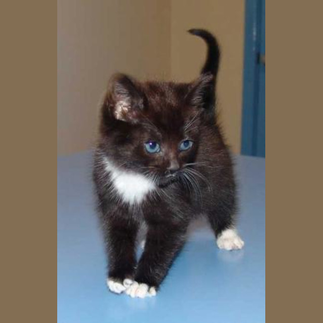 Photo of Tiny