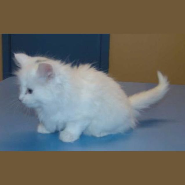 Photo of Gretel
