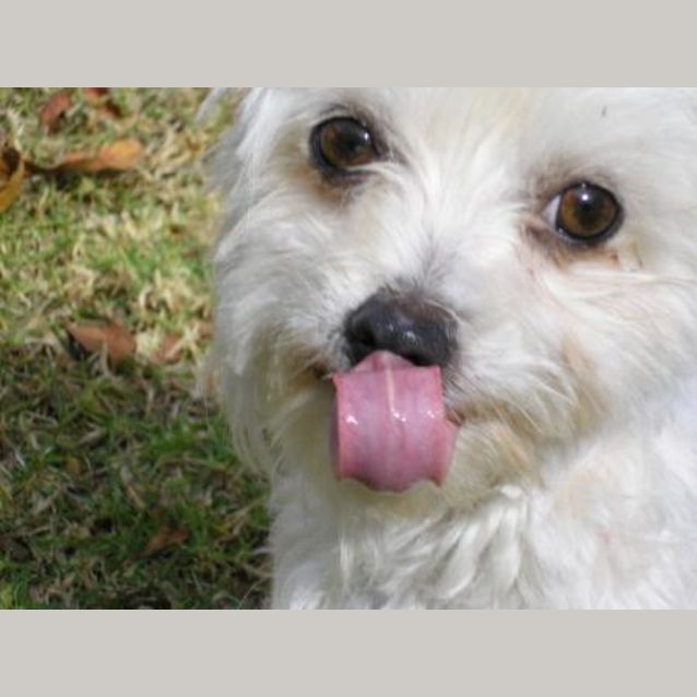 Photo of Candy