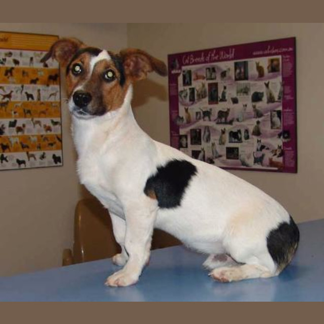 Photo of Stretch