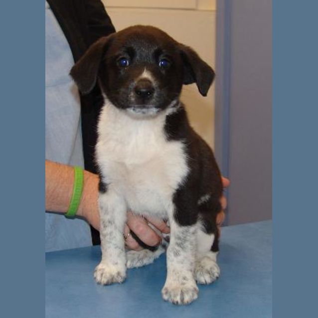 Photo of Dotty