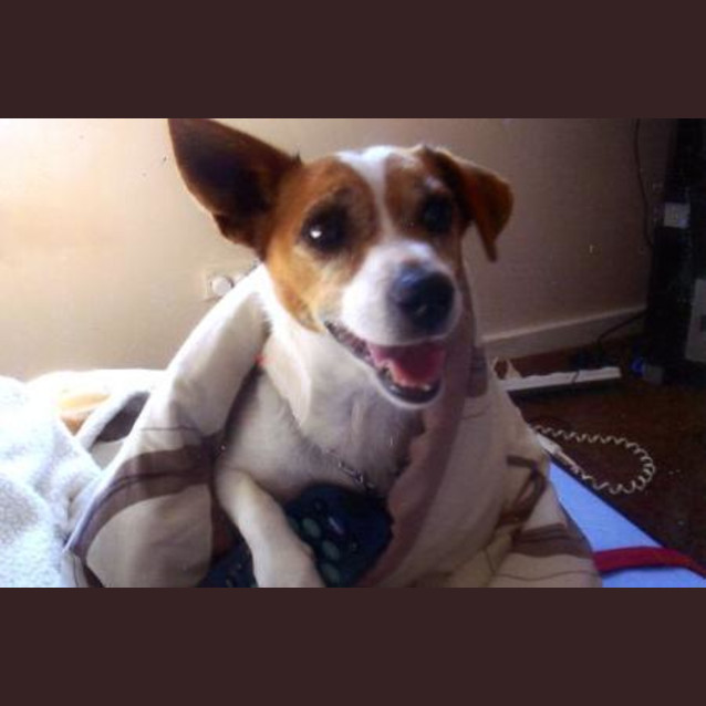 Photo of Zena