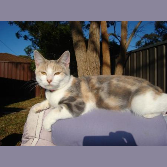Photo of Thelma