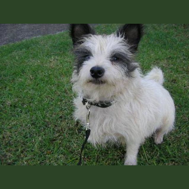 Photo of Bobby