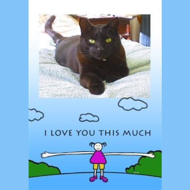 Photo of Coal