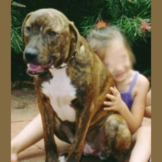 Photo of Nala