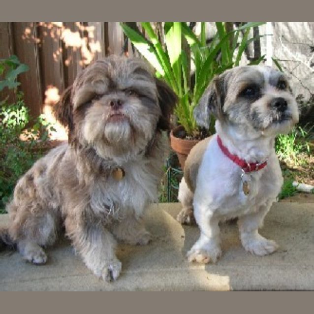 Photo of Basil & Crystal