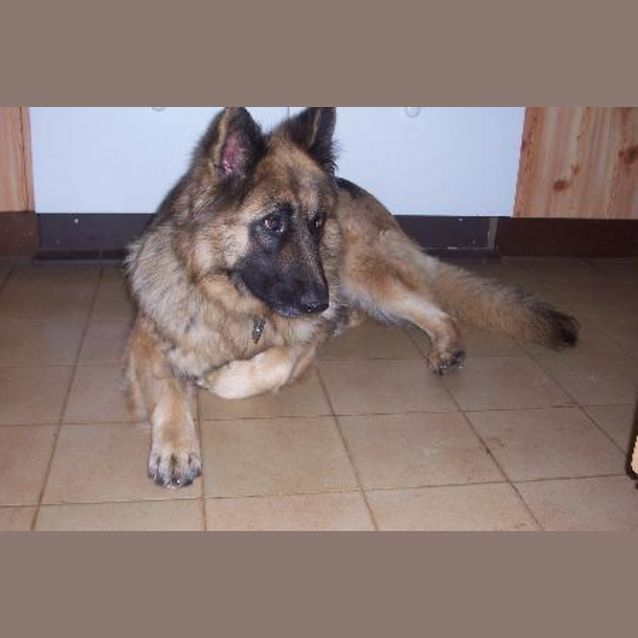 Photo of Sasha