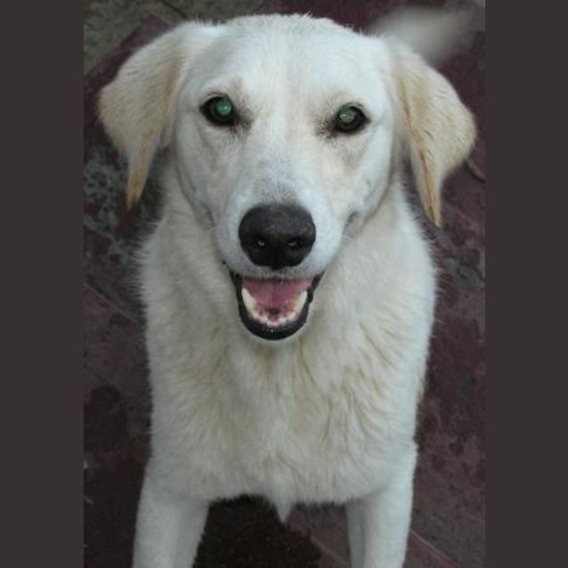 Photo of Ivy