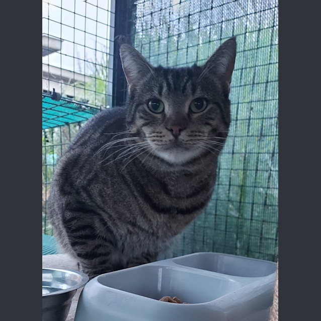 Photo of Albert & Malcolm 😻😻