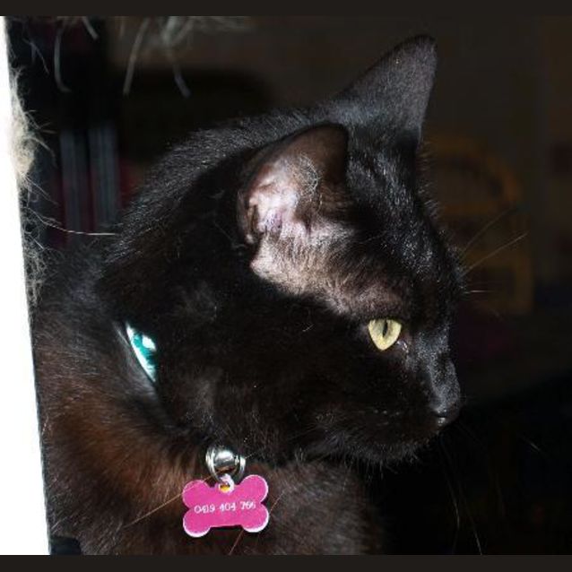 Photo of Sooty