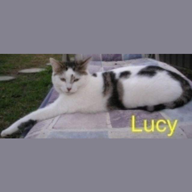 Photo of Lucy