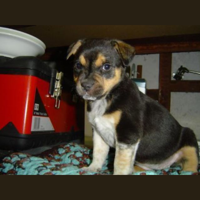 Photo of Spice