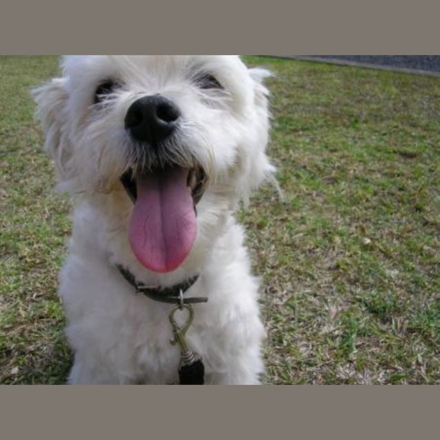 Photo of Reg