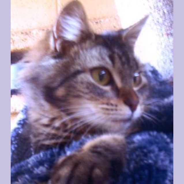 Photo of Isabelle