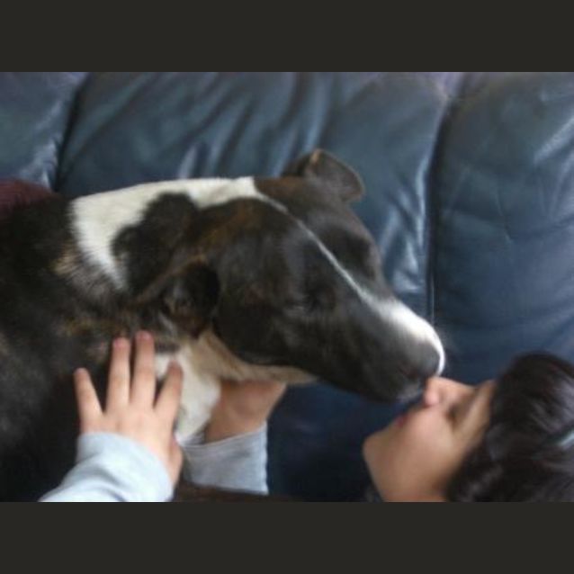 Photo of Austin Is In Hold