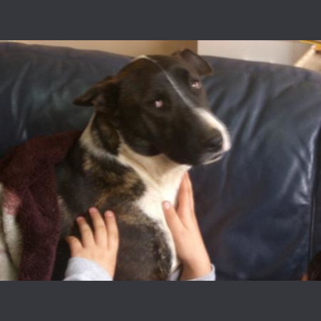 Photo of Austin Is In Hold