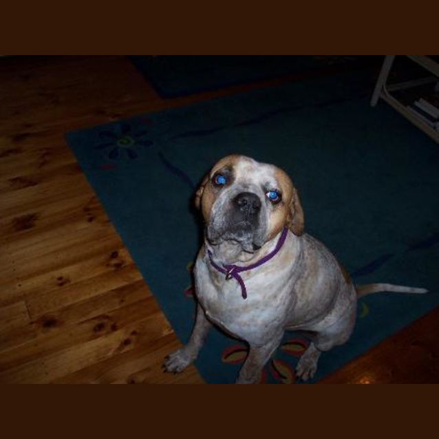 Photo of I Am On Hold Branson