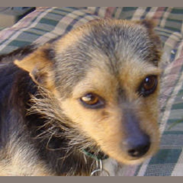 Photo of Peggy Sue