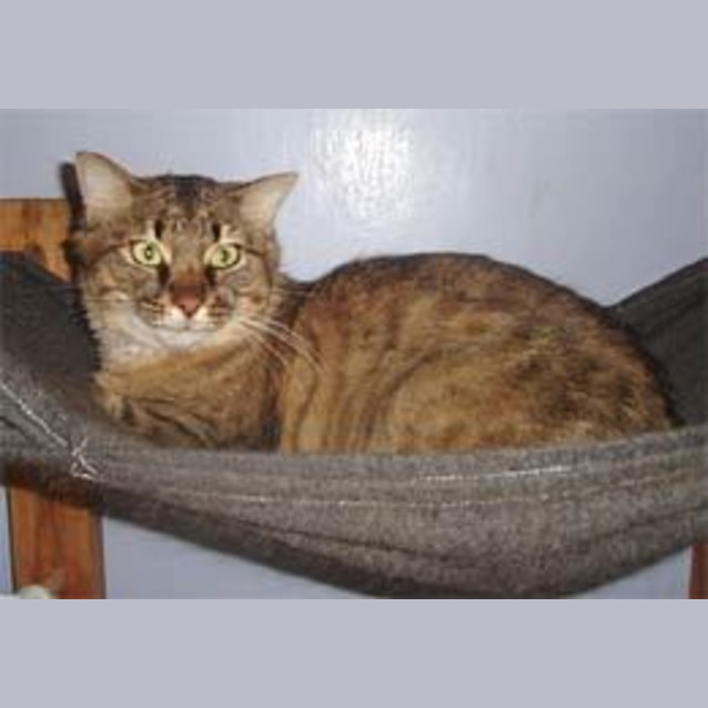 Photo of Smartie