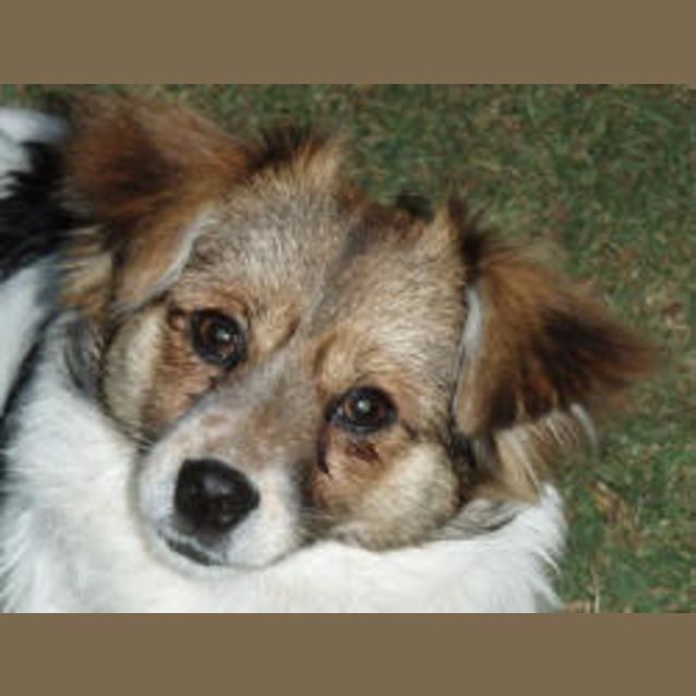 Photo of Annie