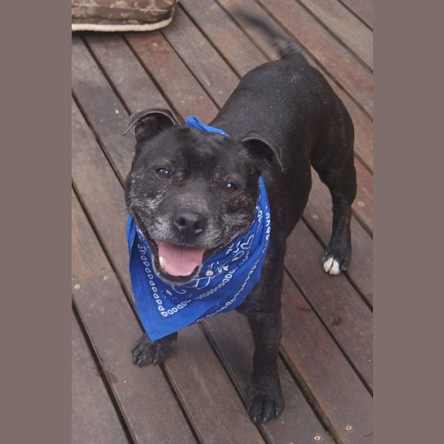 Photo of Gus (On Tria 3/10/12)