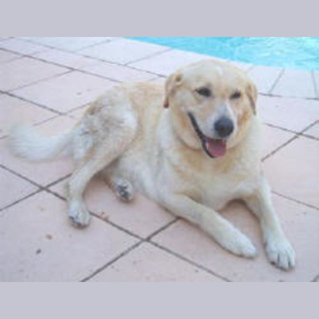 Photo of Tia Maria