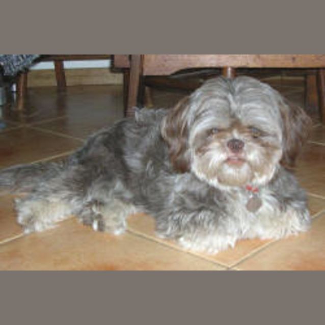 Photo of Crystal