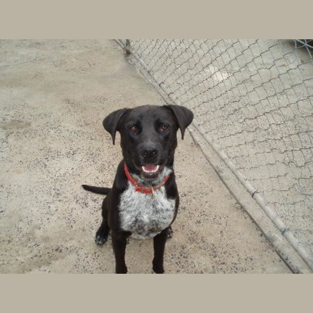 Photo of Max