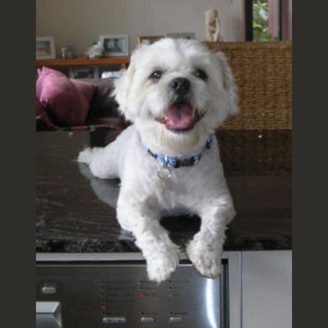 Photo of Barry